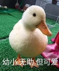 ����һ�ױʦ�����ױ �����ź� ����һ���Ѿ�����ˮֻ���Լ���