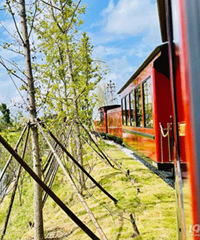 ����ȥһ���������� ι�����С�𳵣�