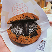 ��������ܽ