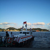 ��ɽ�ĺ���������