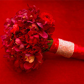 ǧ���ѡ���ɫ������