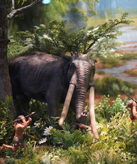 ȥ���㽭����� ��ĺ�����˼ �ʺϴ���������