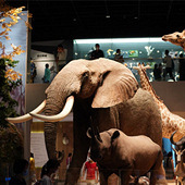 ����㽭�����