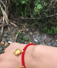 ����ϲ������ ���Խ��ǰ�͸���׼���˺ܶ����