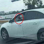 ���ν�ͷ����С������