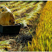 ������ʵ���ռ�