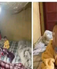 ��Ϊ�������ӱ��� ����������Ȩ����û����