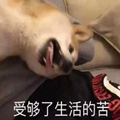 �����Ӳ�֪��������