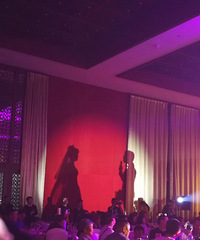 ӡ�������һ���������Լ��Ļ��� �������Ĳ�������