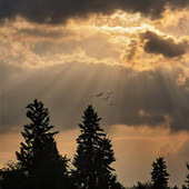 �����Ķ������