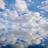 ˪�����������