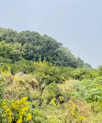 ¥̽74ڡ·ߵ«έƺ...򿨵