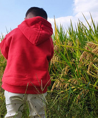 ��ڱ�Ե������ ���Ż�Ҫ�ó��������ӳ�