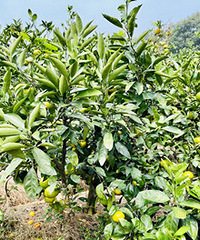 �ϱ������������ˣ��ַ��ӱ�����򿨵أ�