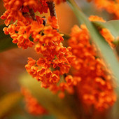 ���˾��޵ĵ���