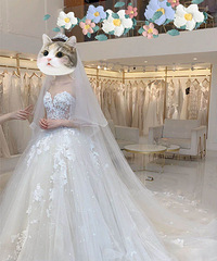 ����ѡ������Ļ�ɴ ��һ�θ��ܵ��ݵĻ���