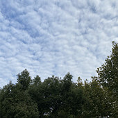 ��յ��ƺ���