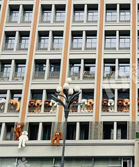 ·����ɽ· ¥��һ������������к���