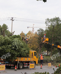 ����·����һ�׶�Ǩ�Ĺ�����ʽ������