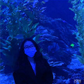 ˫ʮһ�ѵ��ƻ�