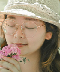 ��˫ʮһ�ѵ��ƻ�������������Ϣ��С���