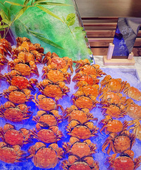 �½��߶˾Ƶ�����������ḻƷ�ʸߣ�