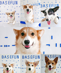 �����׼ҿ»���԰ ���ȿ»���������ߣ