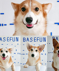 �����׼ҿ»���԰ ��һȺ�»�Χ�Ƴ�������