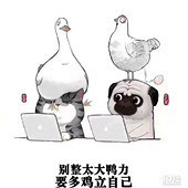 ˫ʮһ�ѵ��ƻ�