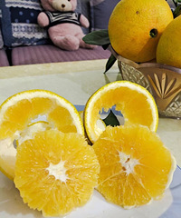 �óԵĳ�����ժ�ַ�