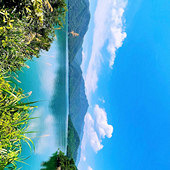 ��������Ƭ