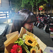 ˫ʮһ�ѵ��ƻ�