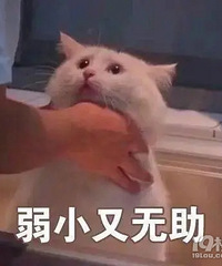 �������˵��������Ǵ�Ů���� ���ǰ���ûҪ��