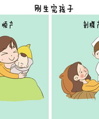 ��������ü������˳���� �ʸ�˳�ĸ���