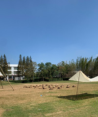 ¥̽76ڡCSԽҰС¹ֲ..