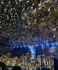 ŵ��ɽ�����������̫�ʺϽ���ˣ��μ���ǰͬ�µĻ���̫����