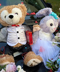 �����ҵĺ�ϵ����¶ɫϵ�鳵�������ĳ���