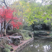 һҹ���������