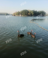 ѧУ�ĺ�����뿴�Ϻ����Լ��ɹ�ȥ�ˣ�