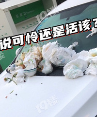 ��С��ͨ��ת���ͣ�����������