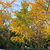 ����·�����Ӻ���