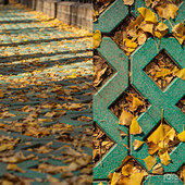 �򿨼�����������·