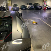 ����С��ֻ���������