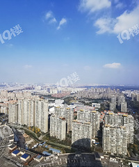 ϣ����50¥��� ����ԭ����������