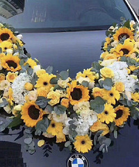 9����鳵װ�η��� ����ɫ����ÿ�