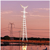 Ϧ��б�� ��ɫ����