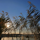 ������õļ��ڣ�