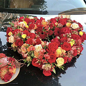 ���λ鳵װ�κ���