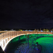 ���ҹɫ �������