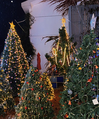 ҹ�����������˹���ѩ...